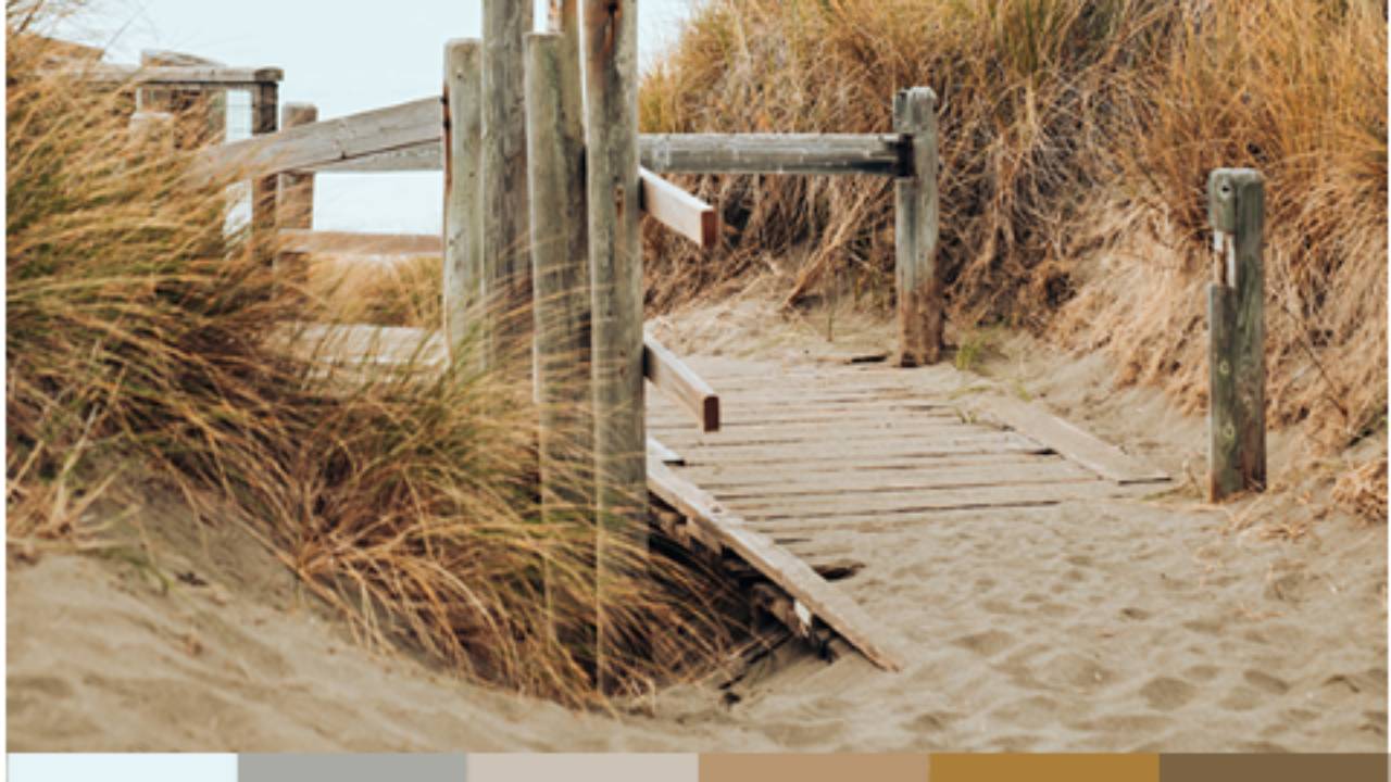 Natural coastal colour palette inspired by sandy dunes, weathered timber, and earthy beach tones, featuring soft whites, sandy beige, warm browns, and muted greys.