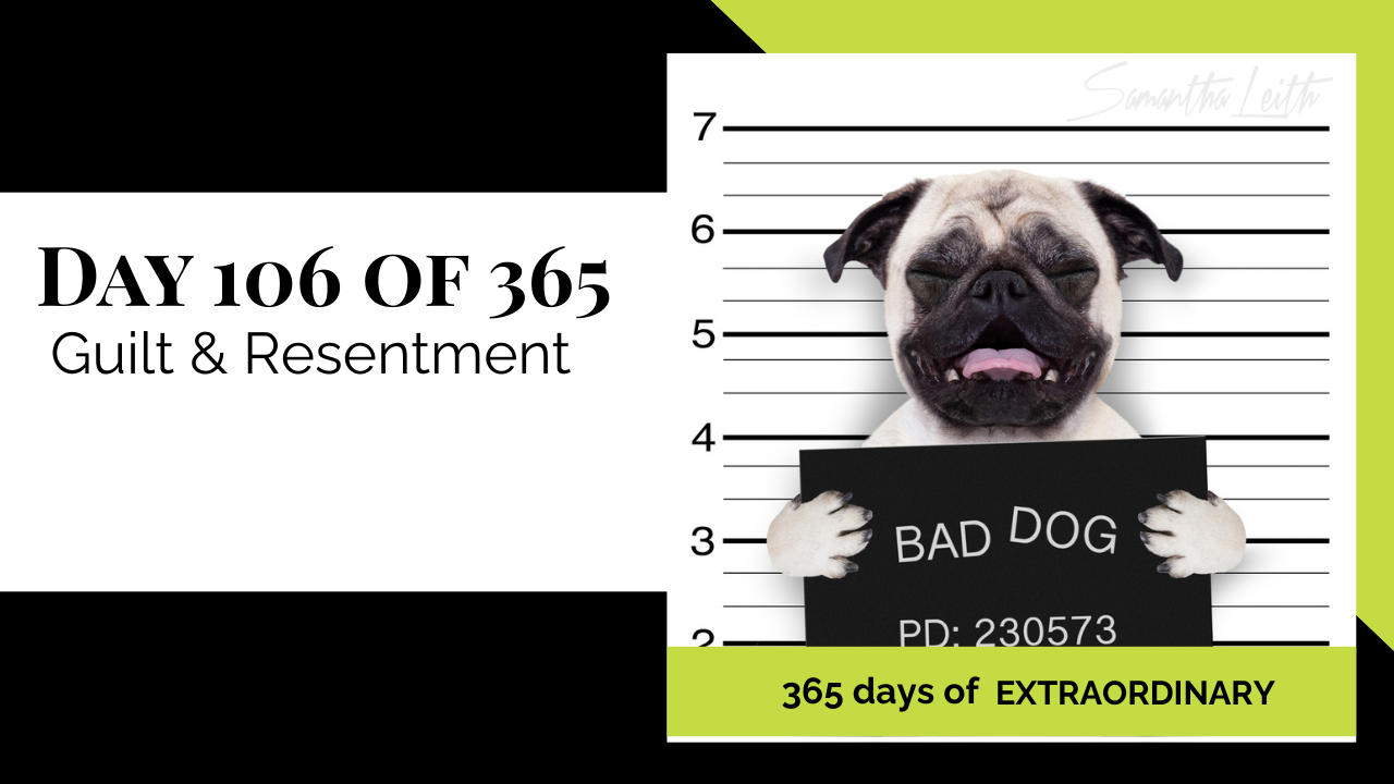 Blog image for Day 106 of Sam Leith's '365 Days of Extraordinary' series, showing a pug dog mugshot with a hilarious, guilty expression holding a sign that reads 'BAD DOG' on a height chart background.