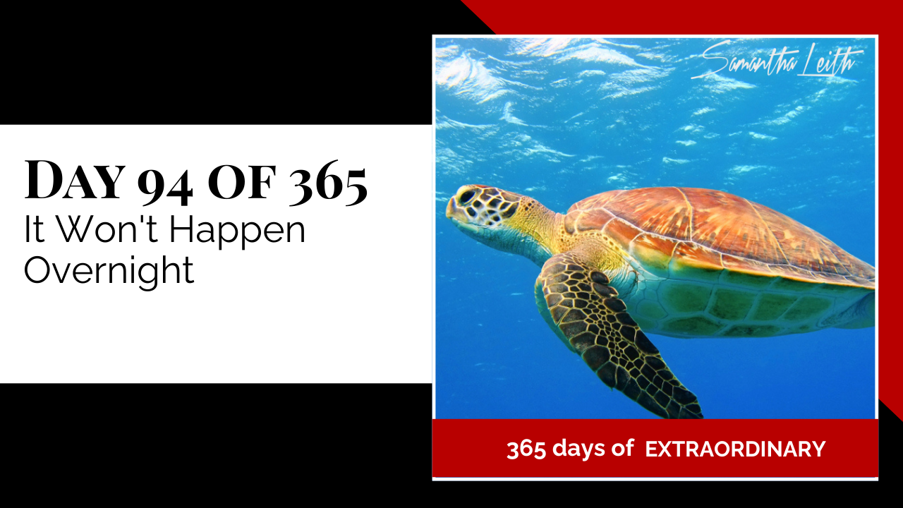 Blog thumbnail featuring a large sea turtle swimming in bright blue ocean water, symbolizing patience, steady progress, and the long-term nature of personal or professional growth.