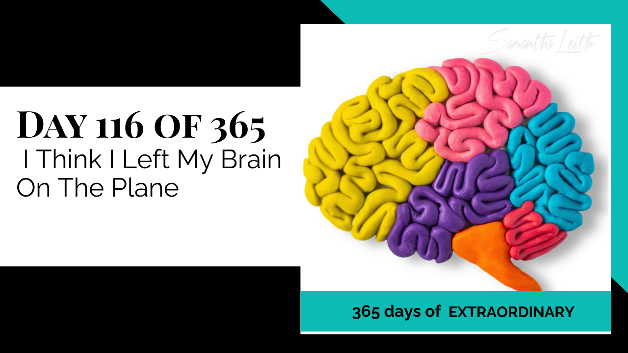 Blog image for Day 116 of Sam Leith's '365 Days of Extraordinary' series, showing a model of the human brain made of colorful clay or dough, with different sections in bright yellow, pink, purple, blue, and red.