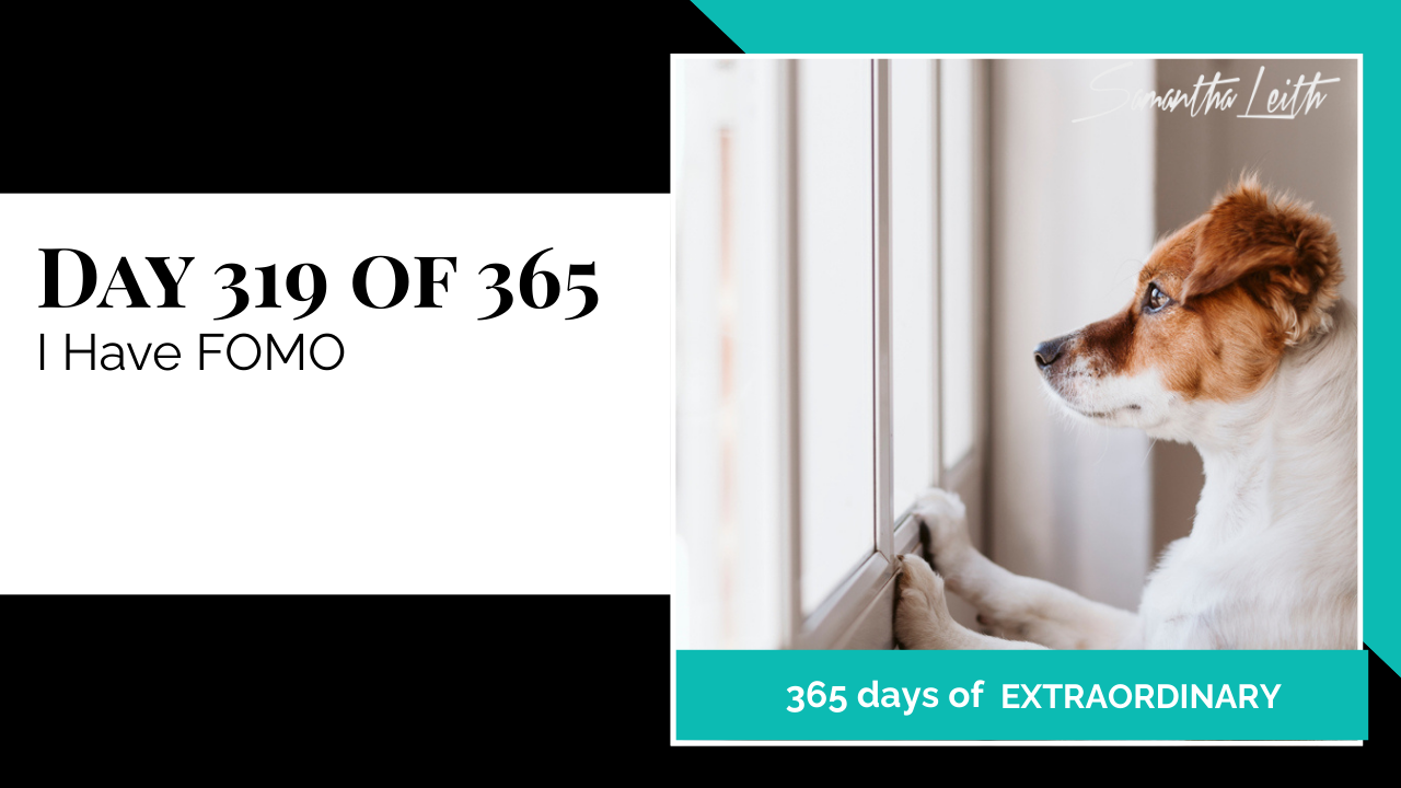 Samantha Leith 365 Days of Extraordinary, Day 319: I Have FOMO. A small brown and white dog looking longingly out of a white window frame.