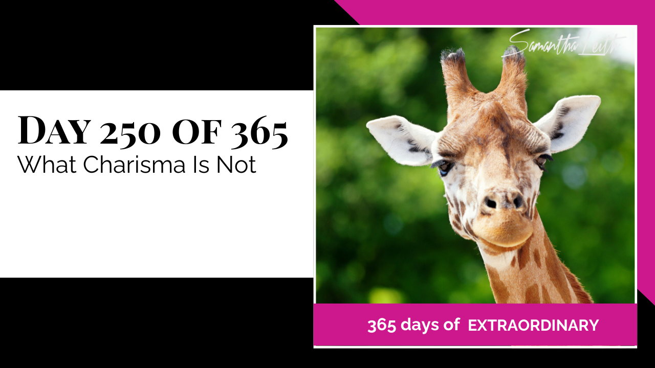 "Day 250 of 365: What Charisma Is Not thumbnail for Sam Leith's '365 Days of Extraordinary' series. Close-up of a giraffe face."