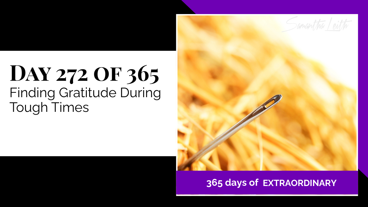 "Day 272 of 365: Finding Gratitude During Tough Times thumbnail for Samantha Leith's '365 Days of Extraordinary' series, showing the eye of a needle in a haystack."