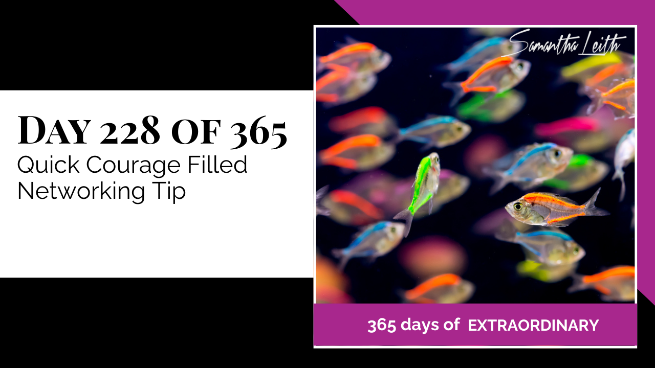 A photographic post featuring a school of transparent fish with brightly colored neon tails and fins swimming in dark water, with one light green fish prominently swimming near the front. The image is split with a title card on the left side that reads: "DAY 228 OF 365 Quick Courage Filled Networking Tip". Below the photo, a magenta banner reads: "365 DAYS OF EXTRAORDINARY". A stylized signature in the top right corner says "Samantha Leith."