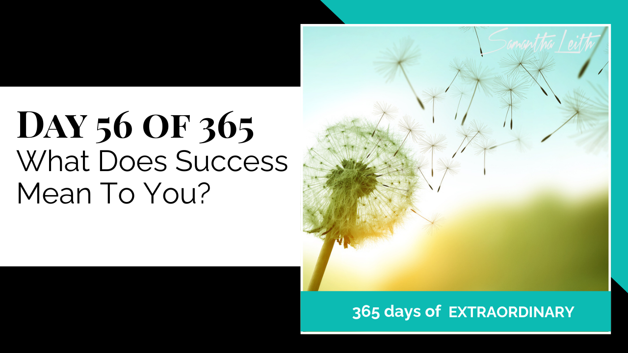 Thumbnail graphic asking the question, 'What Does Success Mean To You?' The image shows a dandelion seed head releasing its parachute seeds into a bright, sunlit sky, symbolizing growth, wishes, potential, and spreading success.