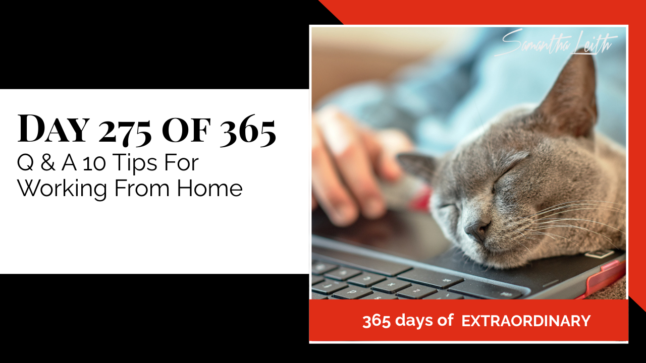 "Day 275 of 365: Q & A 10 Tips For Working From Home thumbnail for Samantha Leith's '365 Days of Extraordinary' series, featuring a grey cat sleeping on a laptop keyboard."