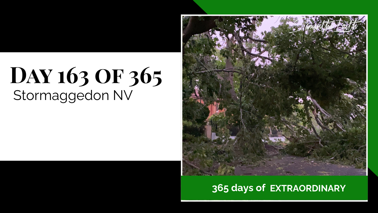 Photo capturing significant storm damage on a neighborhood street in Nevada (NV), showing a massive tree that has fallen onto the roadway, representing unexpected crises, recovery, and dealing with natural disasters.