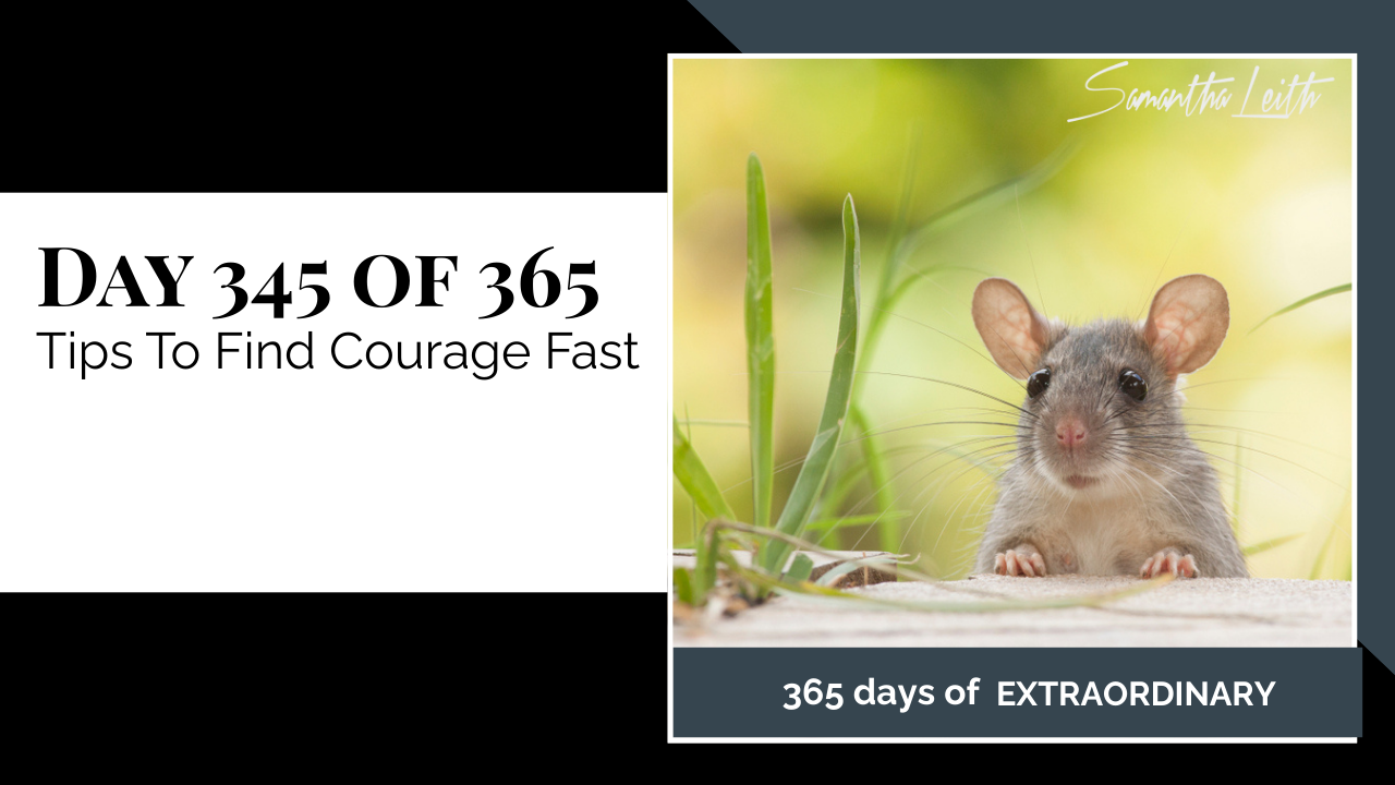 Day 345: Samantha Leith 365 Days of Extraordinary, Day 345: Tips To Find Courage Fast. A close-up, ground-level photograph of a small grey mouse peering over a ledge in green grass.