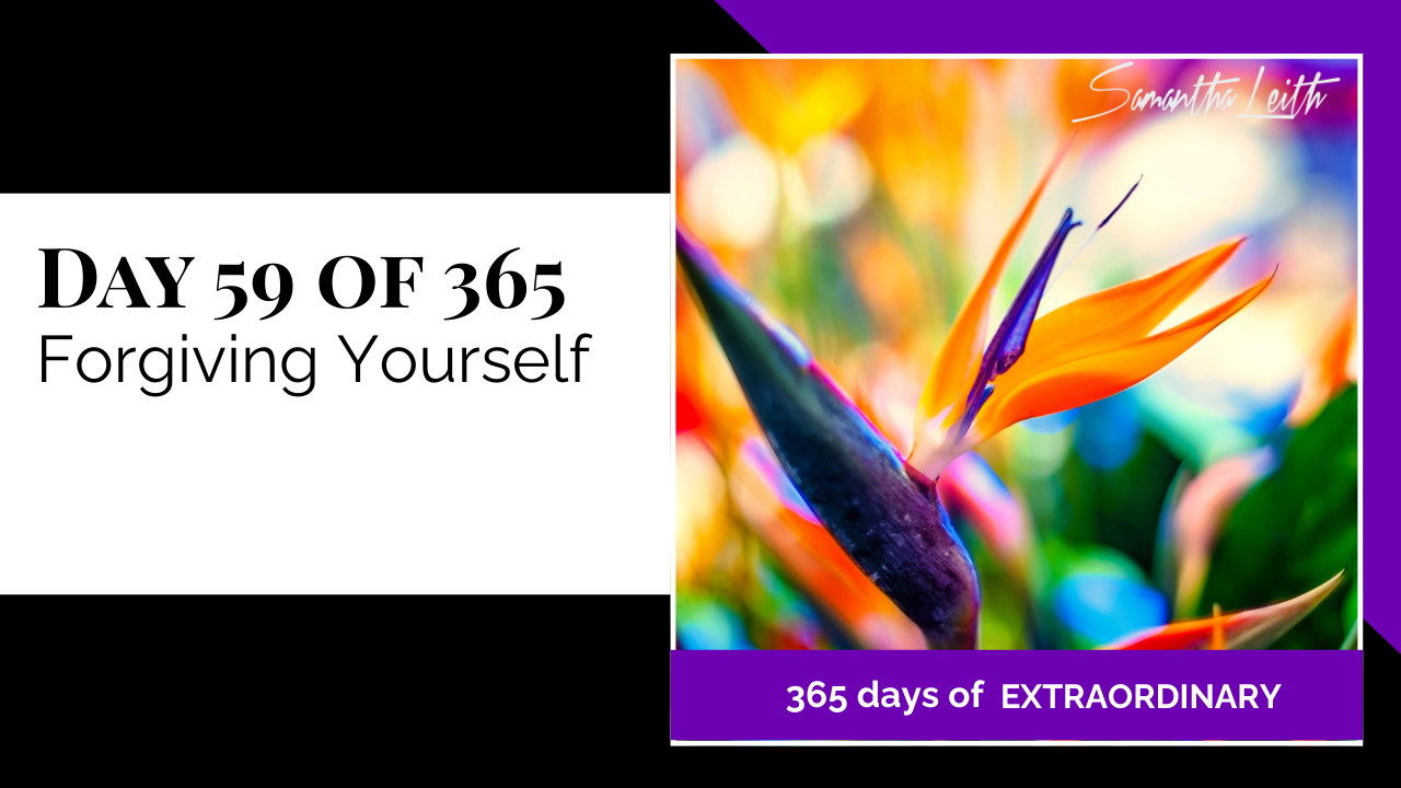 Thumbnail graphic for the topic, 'Forgiving Yourself.' The image features a vibrant, close-up photograph of a Bird of Paradise flower, symbolizing beauty, growth, joy, and the renewal that comes with self-forgiveness.