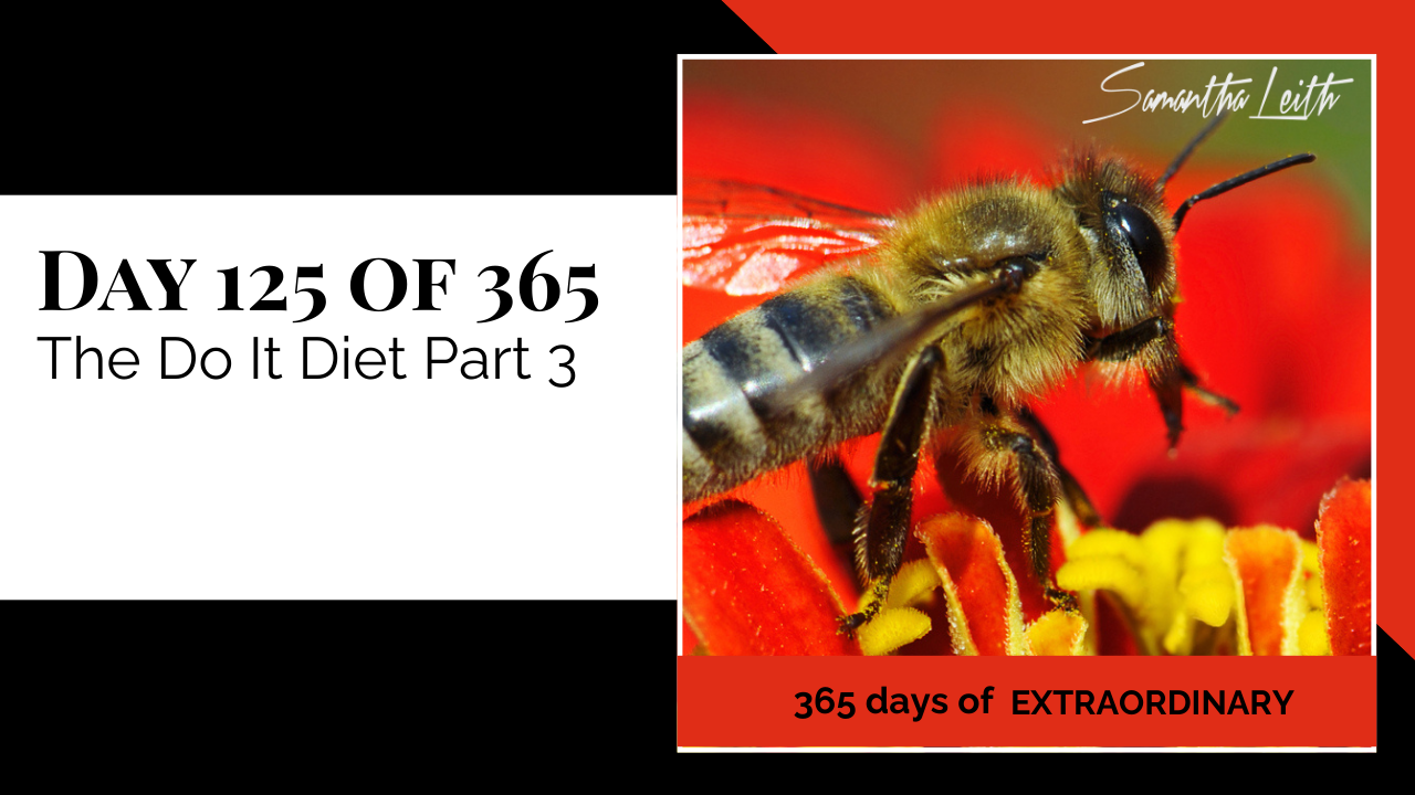 Blog image for Day 125 of Sam Leith's '365 Days of Extraordinary' series, showing a close-up macro view of a honey bee (apis mellifera) covered in pollen, working on the bright yellow and red center of a flower, related to 'The Do It Diet Part 3' and the concept of busy, productive work.