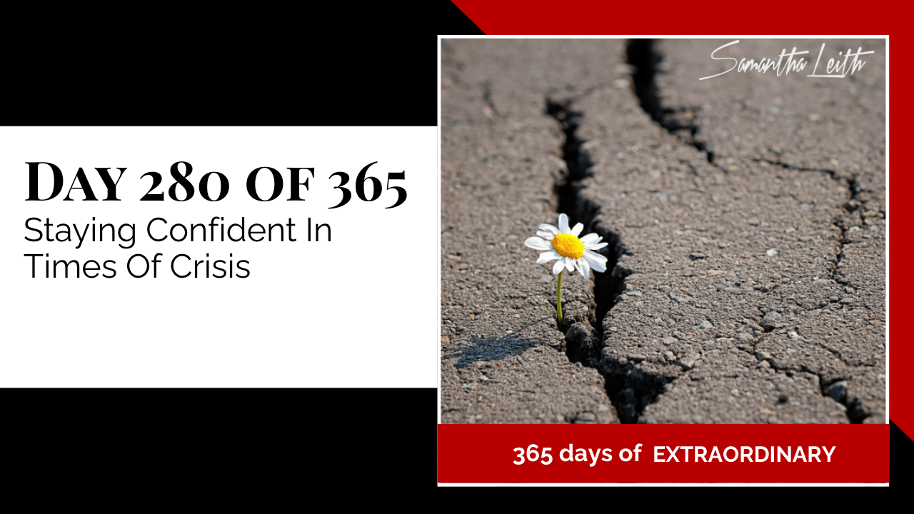 "Day 280 of 365: Staying Confident In Times Of Crisis thumbnail showing a single white daisy flower growing through a crack in asphalt."