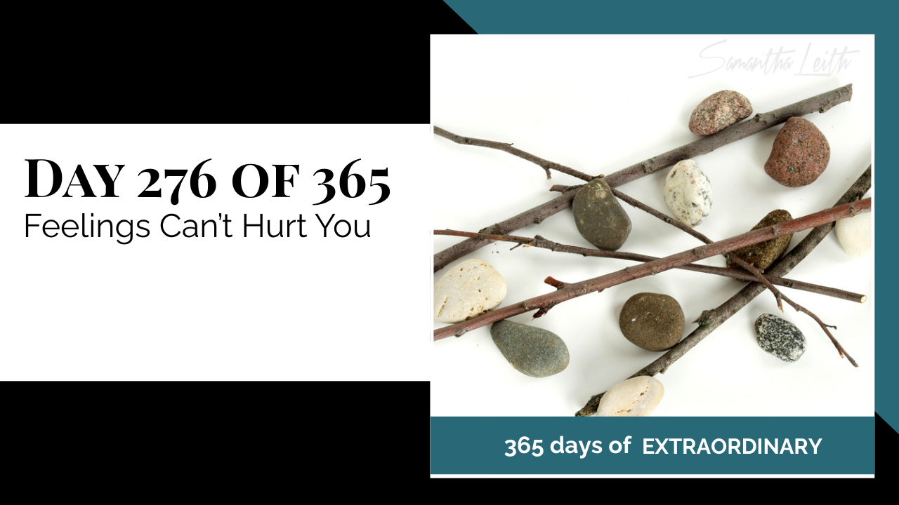 "Day 276 of 365: Feelings Can't Hurt You thumbnail for Samantha Leith's '365 Days of Extraordinary' series, showing various smooth river stones and thin twigs arranged on a white surface."