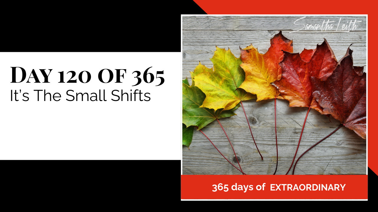 Blog image for Day 120 of Sam Leith's '365 Days of Extraordinary' series, showing a progression of five autumn maple leaves changing color from green to deep red, symbolizing small shifts leading to significant change.