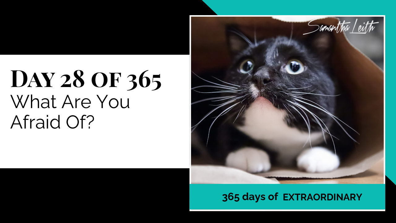 A promotional graphic for Day 28 of 365 of a series by Samantha Leith titled "365 days of EXTRAORDINARY". The text highlights the day's topic: "What Are You Afraid Of?", discussing fear, anxiety, and challenges. The visual on the right is a close-up photograph of a black and white tuxedo cat sitting inside a brown paper bag, looking up with wide, apprehensive, or scared eyes. This imagery symbolizes vulnerability, hiding, phobias, and confronting one's fears.
