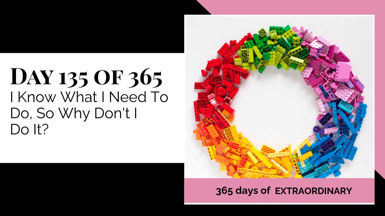 Blog image for Day 135 of Sam Leith's '365 Days of Extraordinary' series, showing a large, colorful ring or circle of mixed construction blocks (like LEGO), including red, orange, yellow, green, blue, and pink pieces, symbolizing complex parts or the challenge of assembling necessary actions despite knowing the plan.