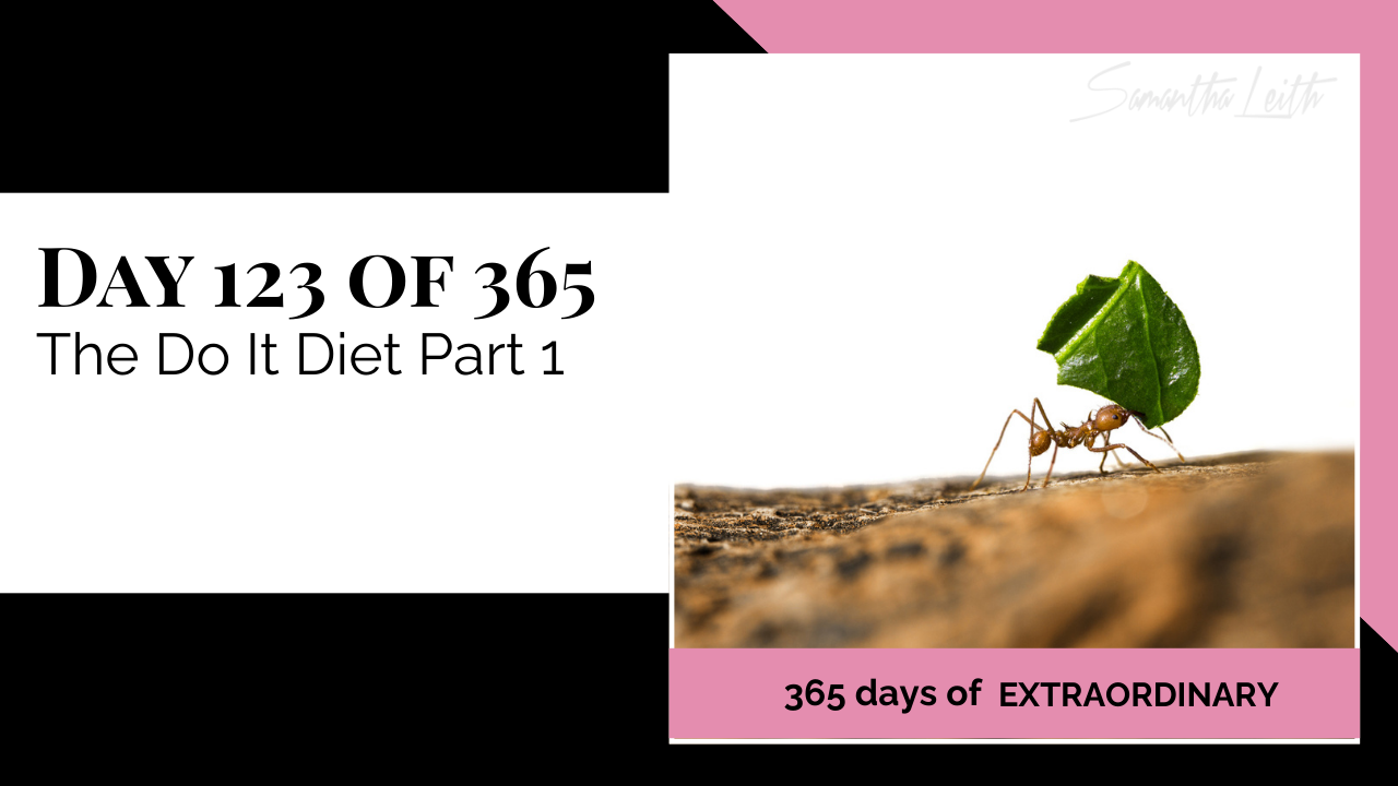 Blog image for Day 123 of Sam Leith's '365 Days of Extraordinary' series, showing a small brown ant carrying a large, heavy green leaf over its head, symbolizing great effort, discipline, and the focus required for the 'Do It Diet'.