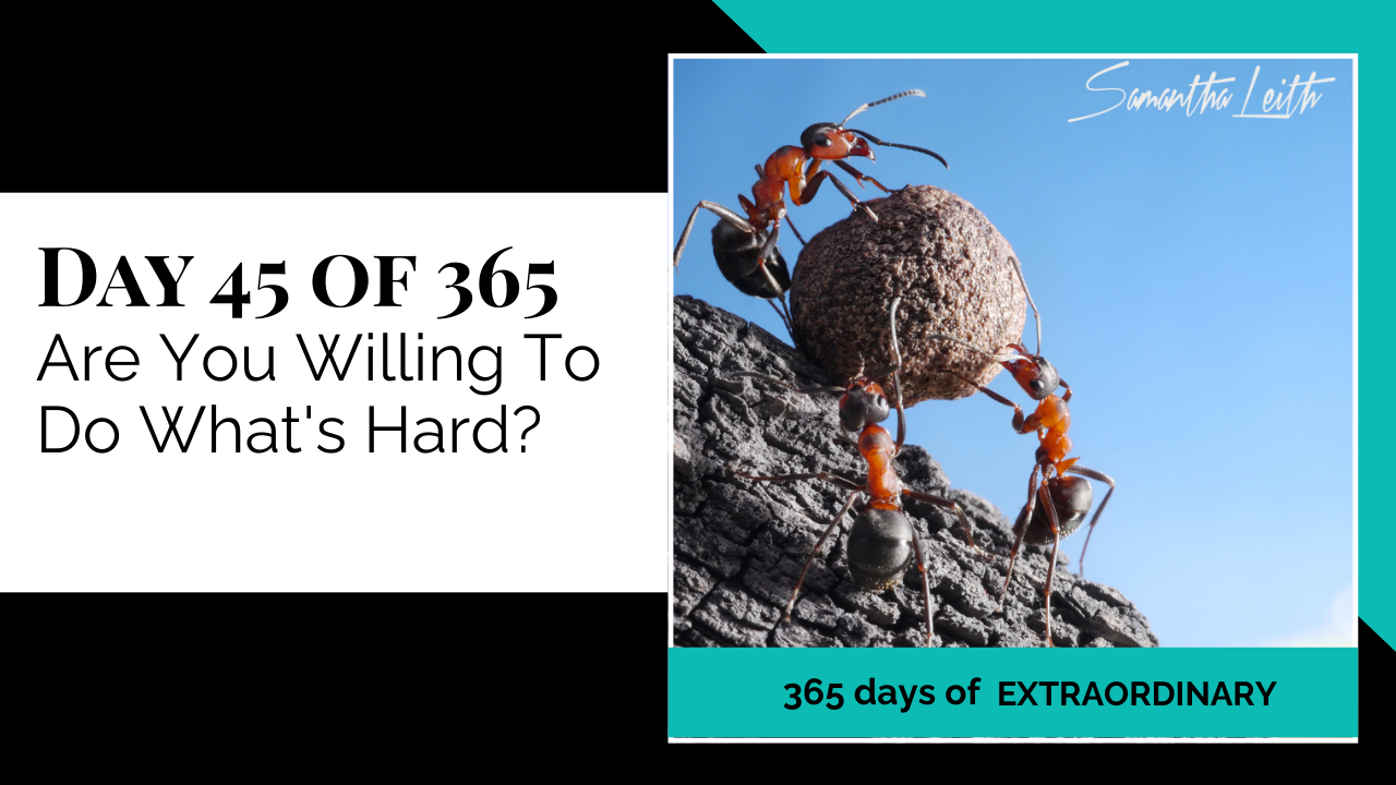 A promotional graphic for Day 45 of 365 of a series by Samantha Leith. The topic is "Are You Willing To Do What's Hard?". The visual shows three large red and black ants collaboratively pushing a heavy, round dirt clod or seed up a rough piece of wood against a blue sky, symbolizing teamwork, persistence, overcoming challenges, effort, and determination.