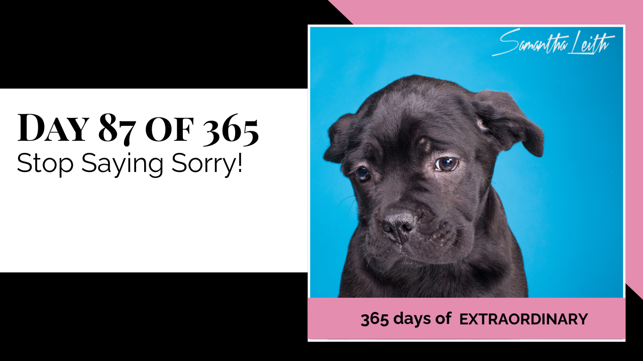 Blog thumbnail for 'Day 87 of 365: Stop Saying Sorry!' The image features a large, sad-looking black puppy with droopy ears, representing unwarranted guilt, over-apologizing, and setting boundaries.