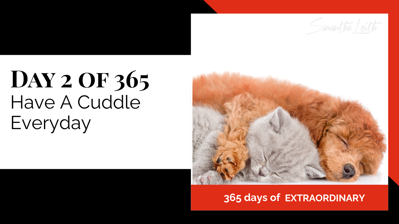 Day 2 of Samantha Leith's '365 Days of Extraordinary' challenge, featuring the theme 'Have A Cuddle Everyday.' The image shows a heartwarming scene of a sleeping light brown puppy snuggled closely with two gray kittens.
