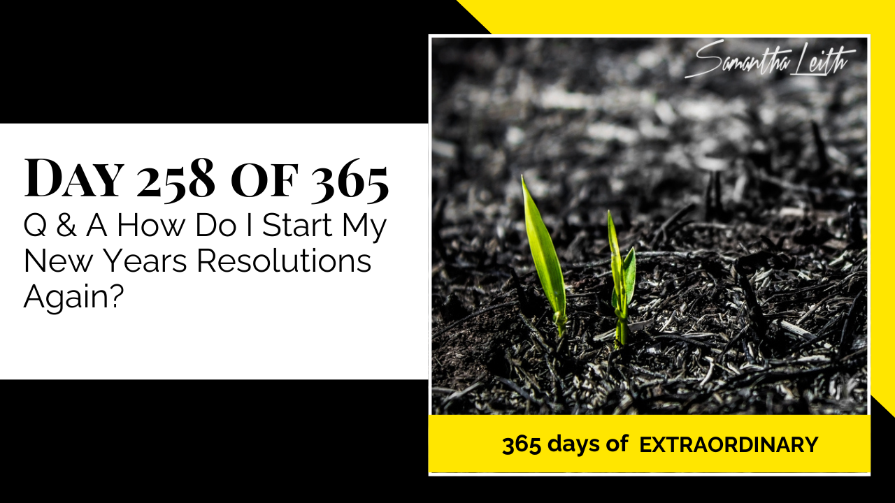 "Day 258 of 365: Q & A How Do I Start My New Years Resolutions Again? thumbnail for Samantha Leith's '365 Days of Extraordinary' series. Two small green sprouts growing out of dark, burnt soil."