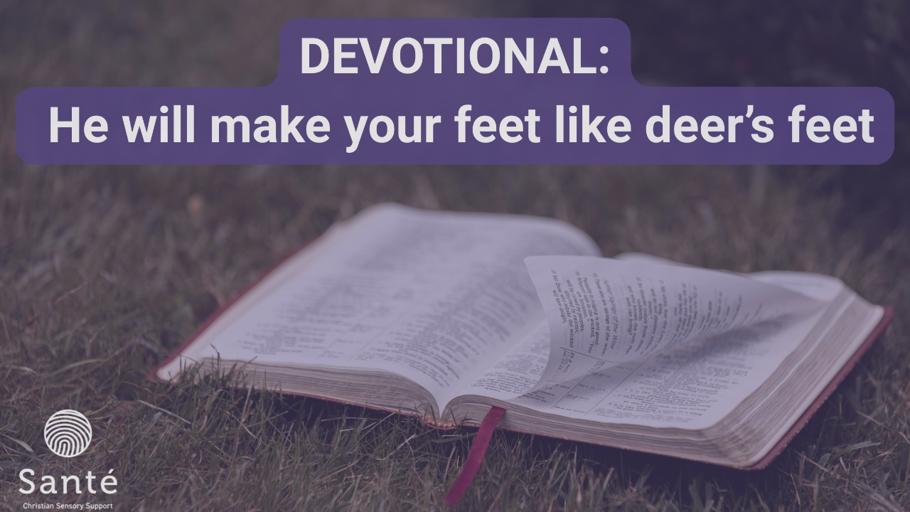 Devotional title with an open bible