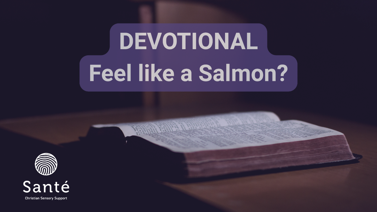 Bible with devotional title: Feel like a Salmon?