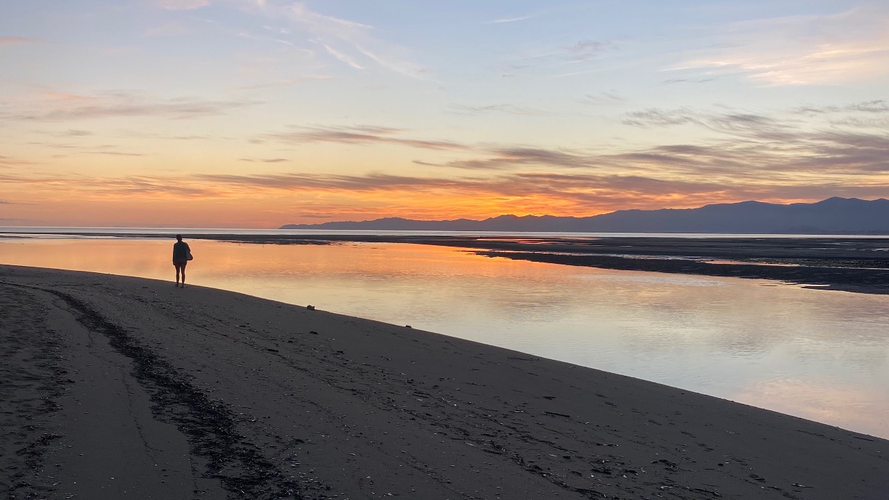 anxiety-insomnia-nervous-system-regulation