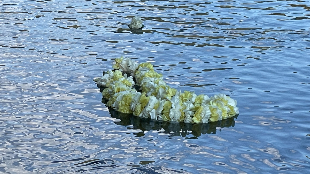 Yellow and white carnation lei floating in a quiet river to honor the one-year anniversary of my mom's passing