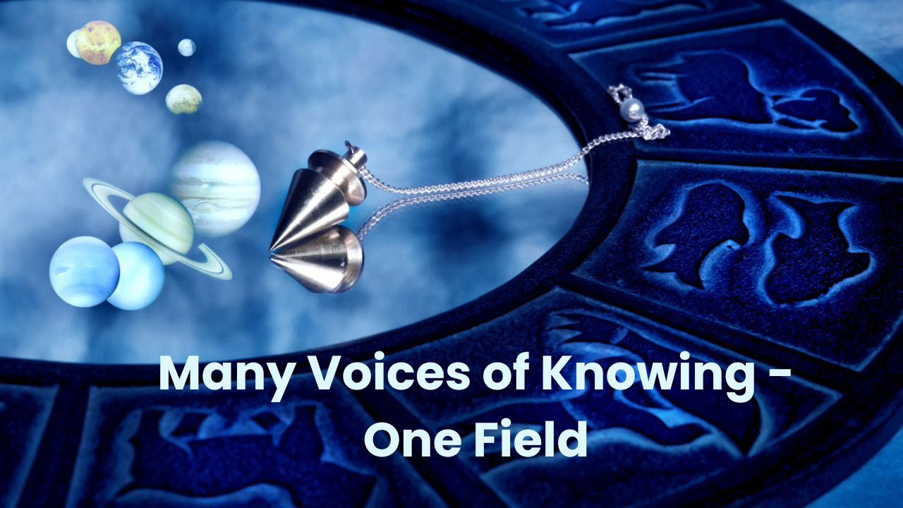 The Many voices of the One Field