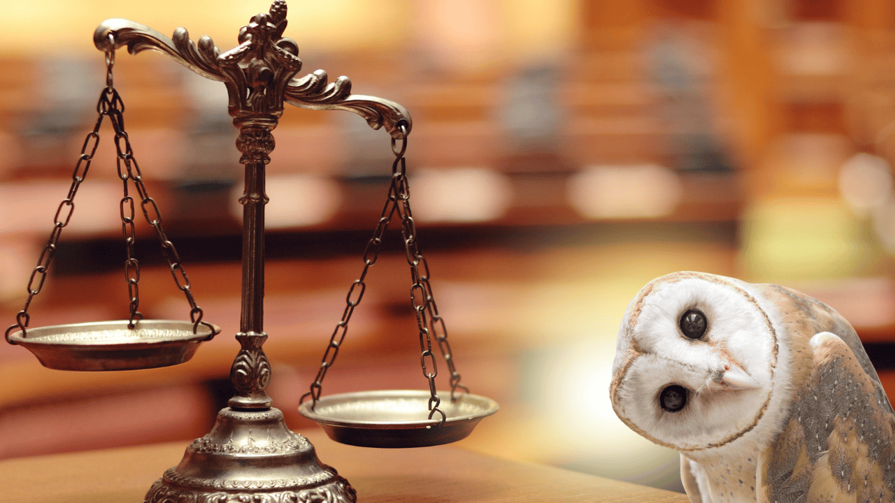 Manifestations as Moral Law