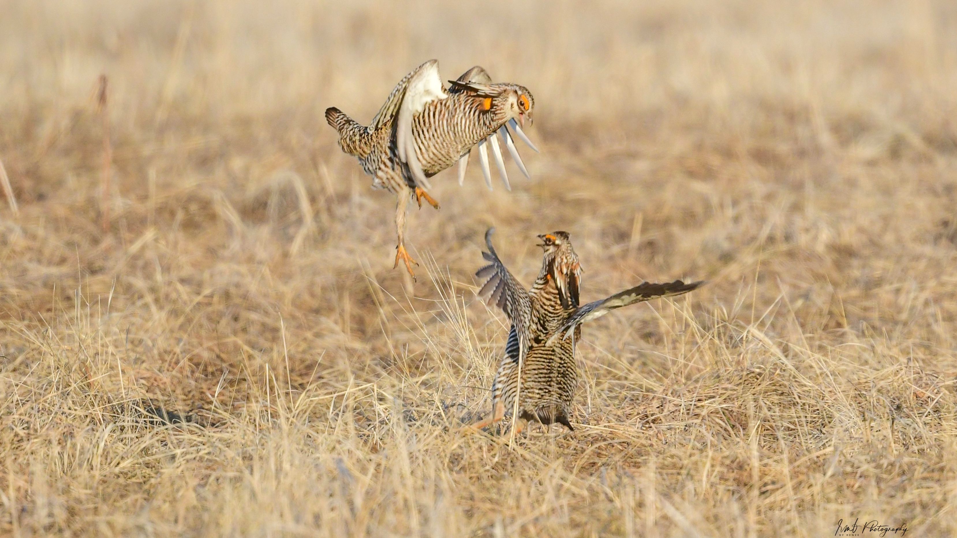 Woman over 50 dancing with courage embracing courage