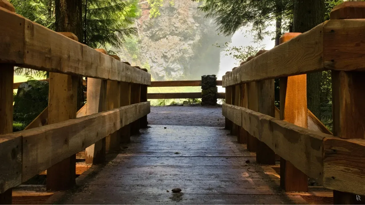 Wooden footbridge through misty forest — a clear path forward through uncertainty