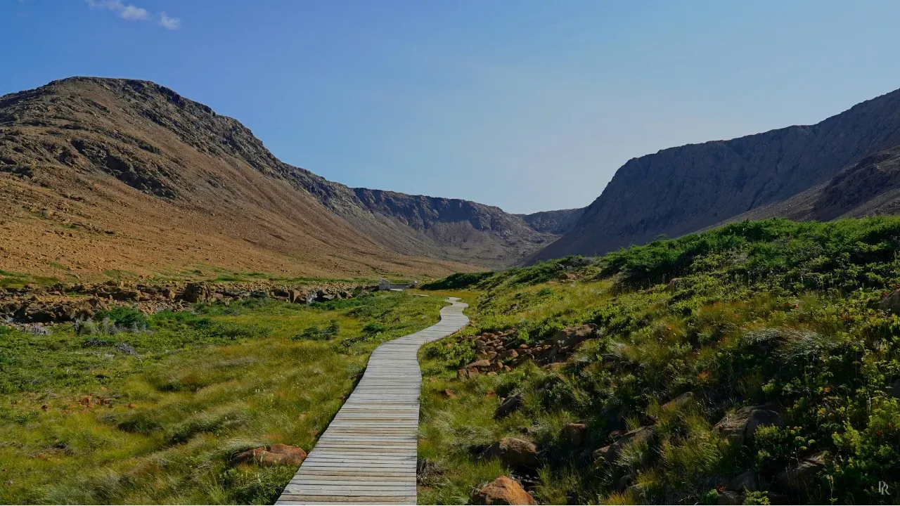 Boardwalk path through open terrain representing a clear way forward