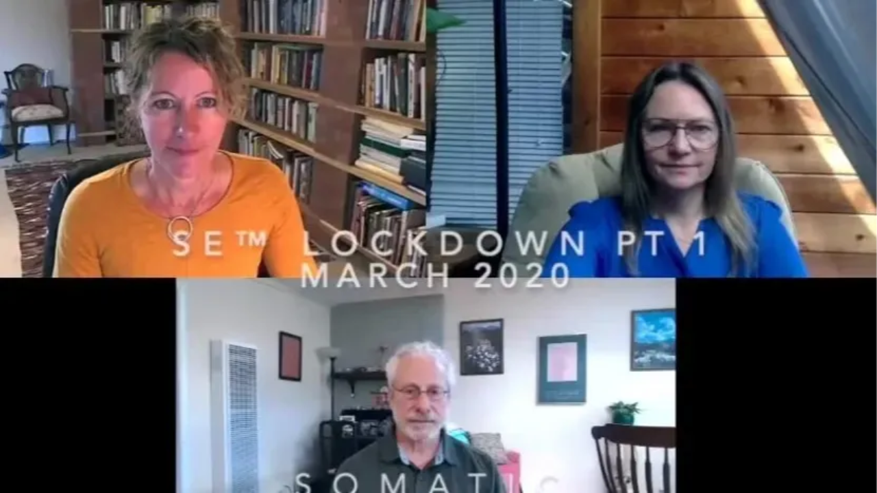 The SE Faculty Discusses Soothing Uncomfortable Feelings Associated with COVID-19 on Zoom