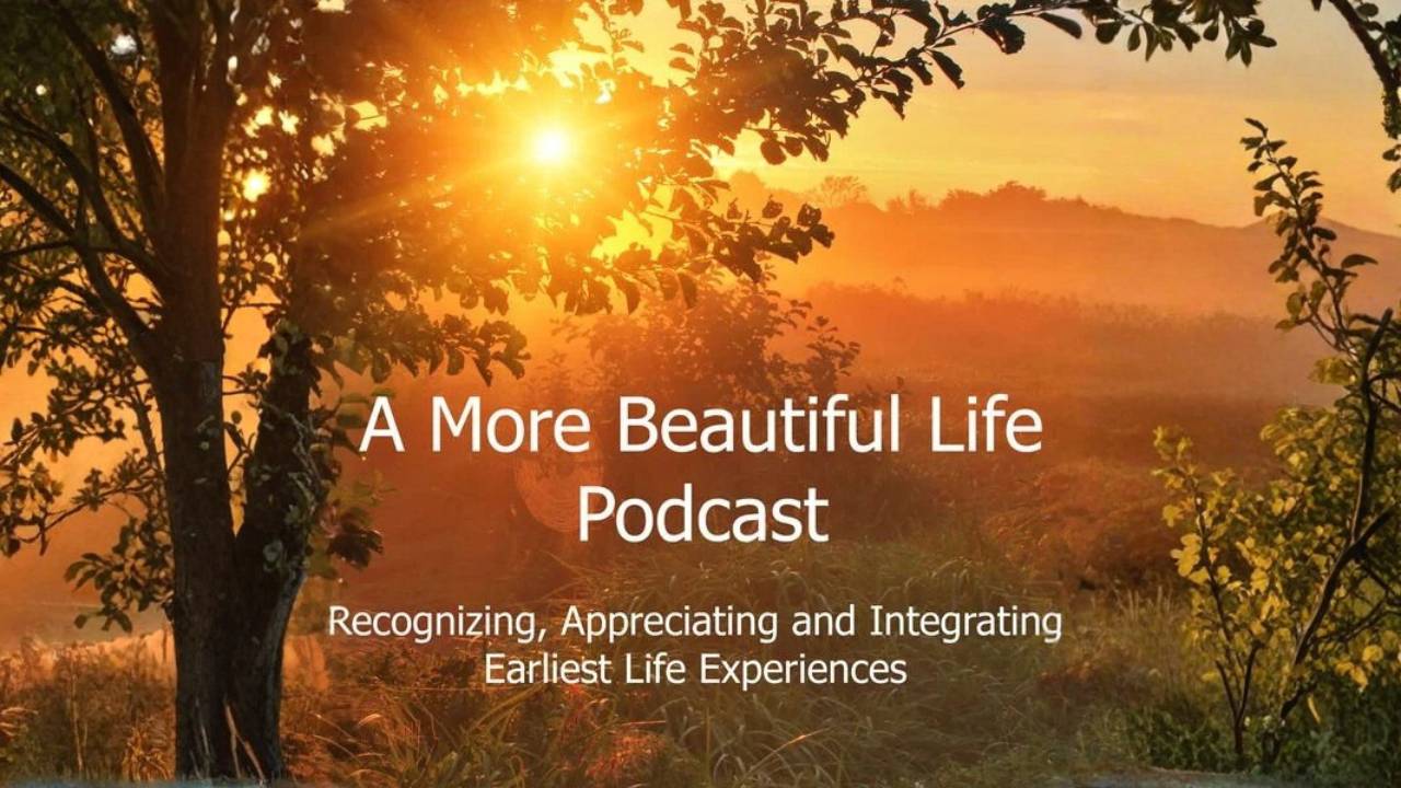 A More Beautiful Life Podcast cover photo