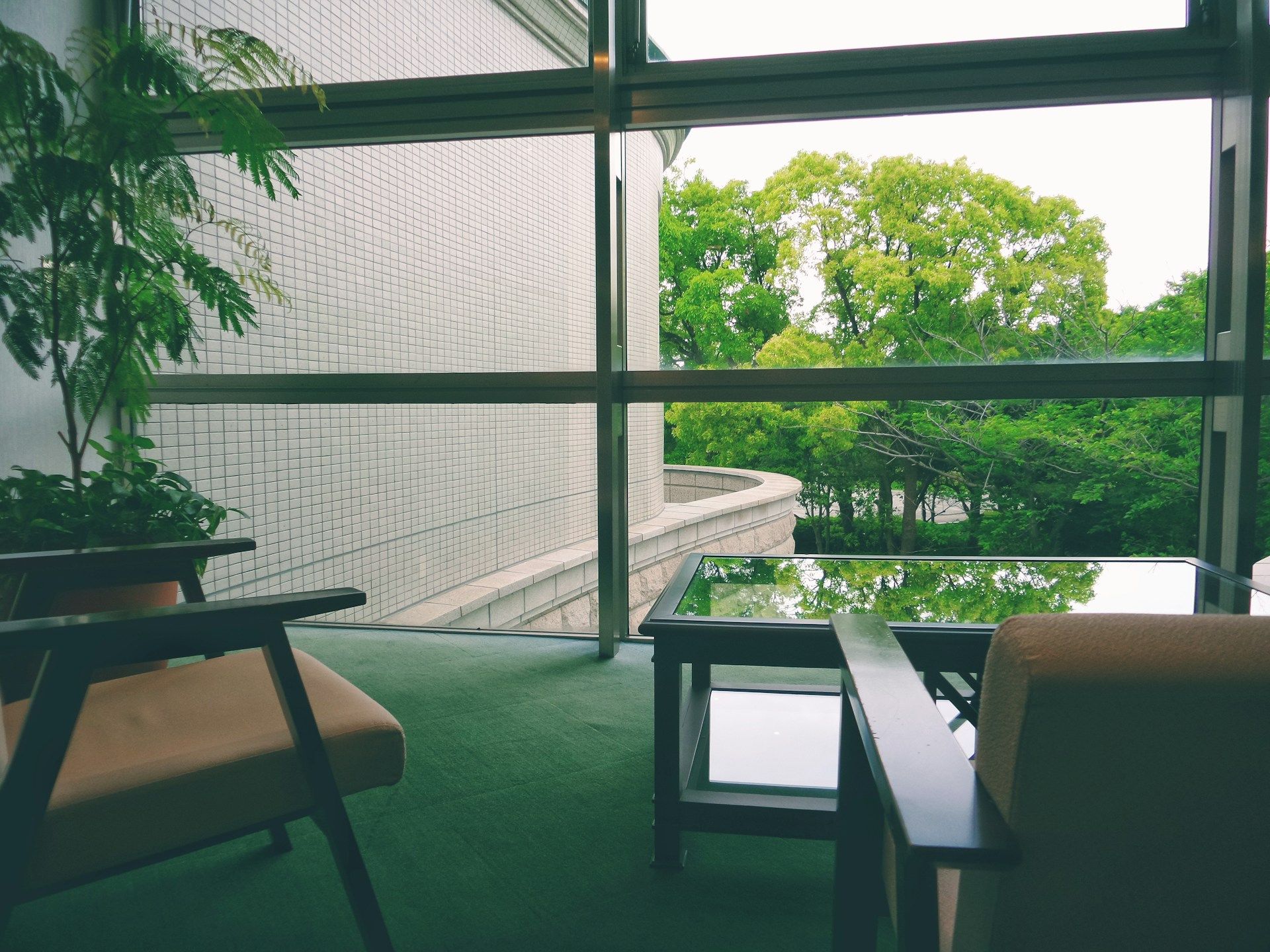View from inside home looking out over the yard with bright green trees