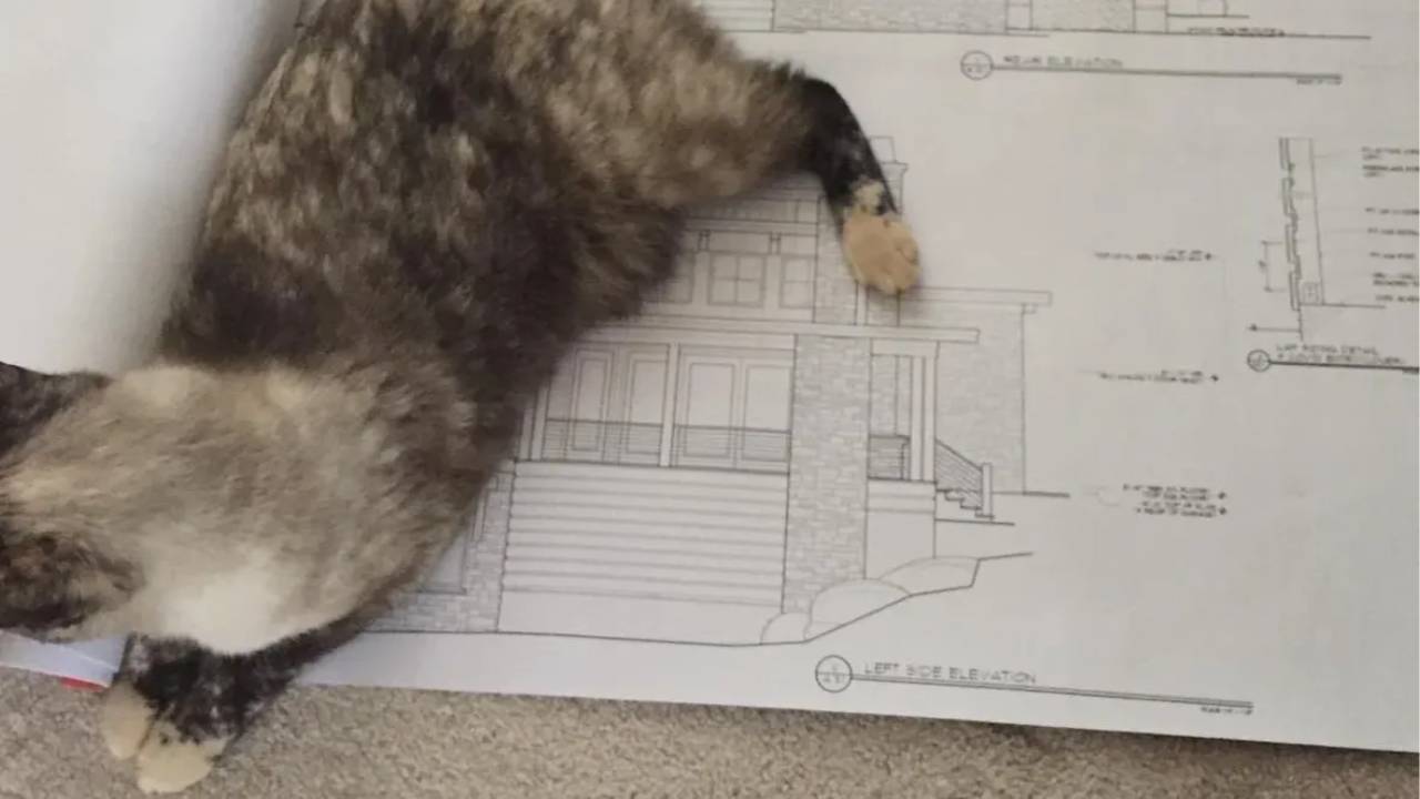 Mental Design Blocks