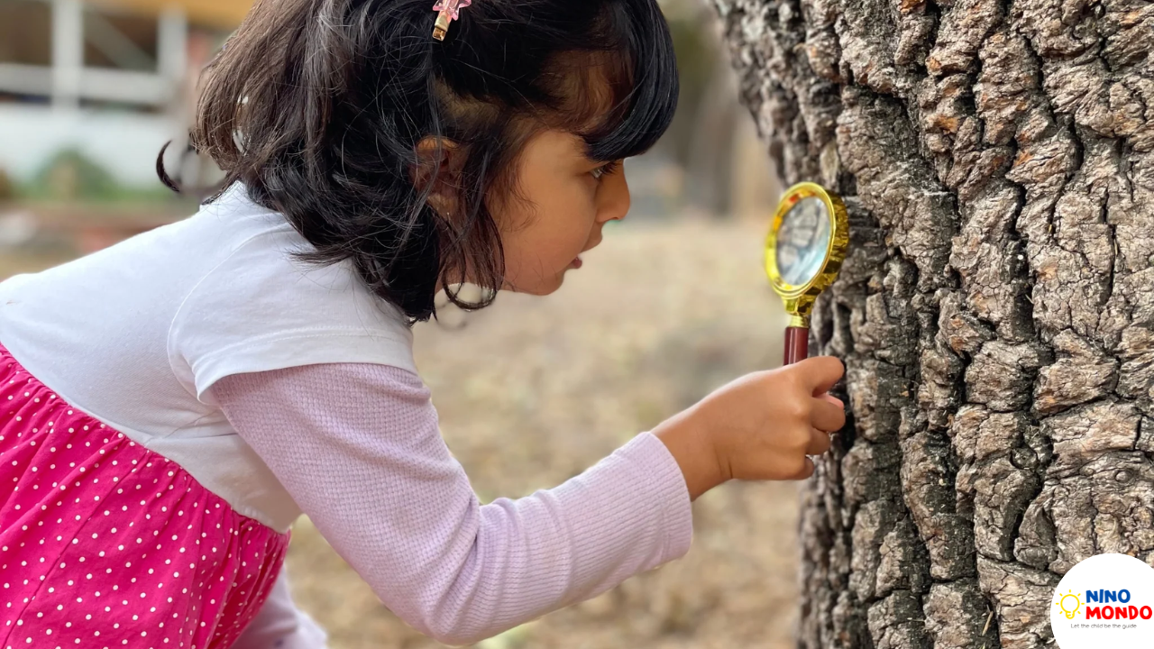 nature activities for kids