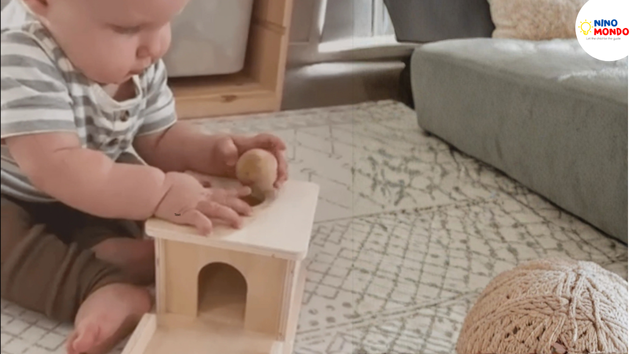 Skill building with the Object Permanence Box