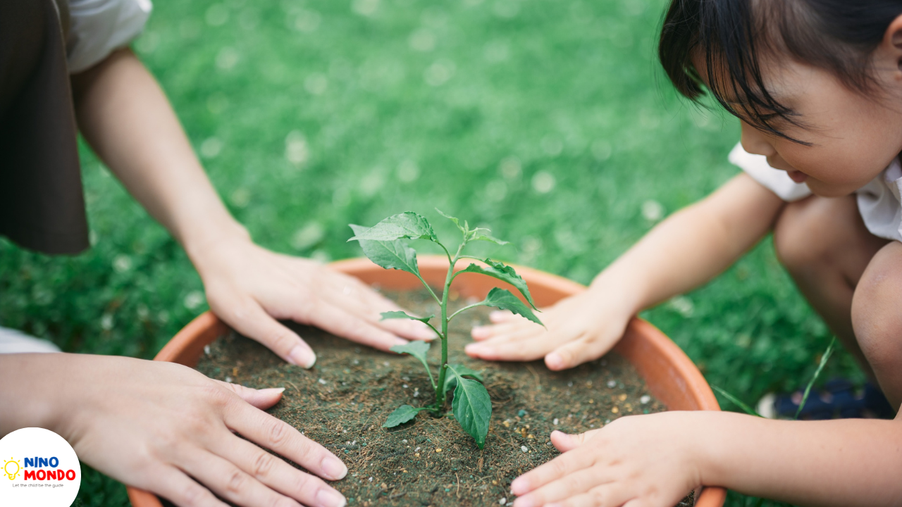 Cause and Effect for Development in Childhood