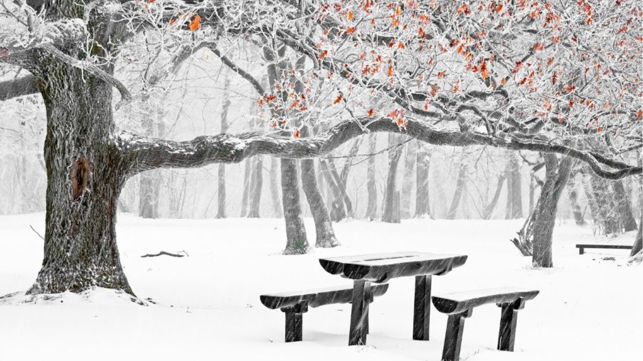 Quiet winter park bench symbolising reflection and new beginnings in midlife