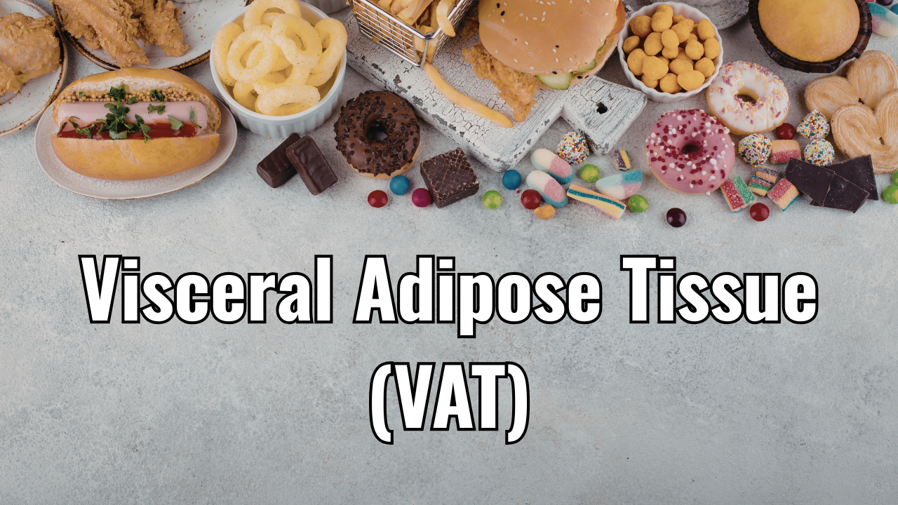 a variety of unhealthy foods on a gray table above the words visceral adipose tissue written in white block text with a black outline