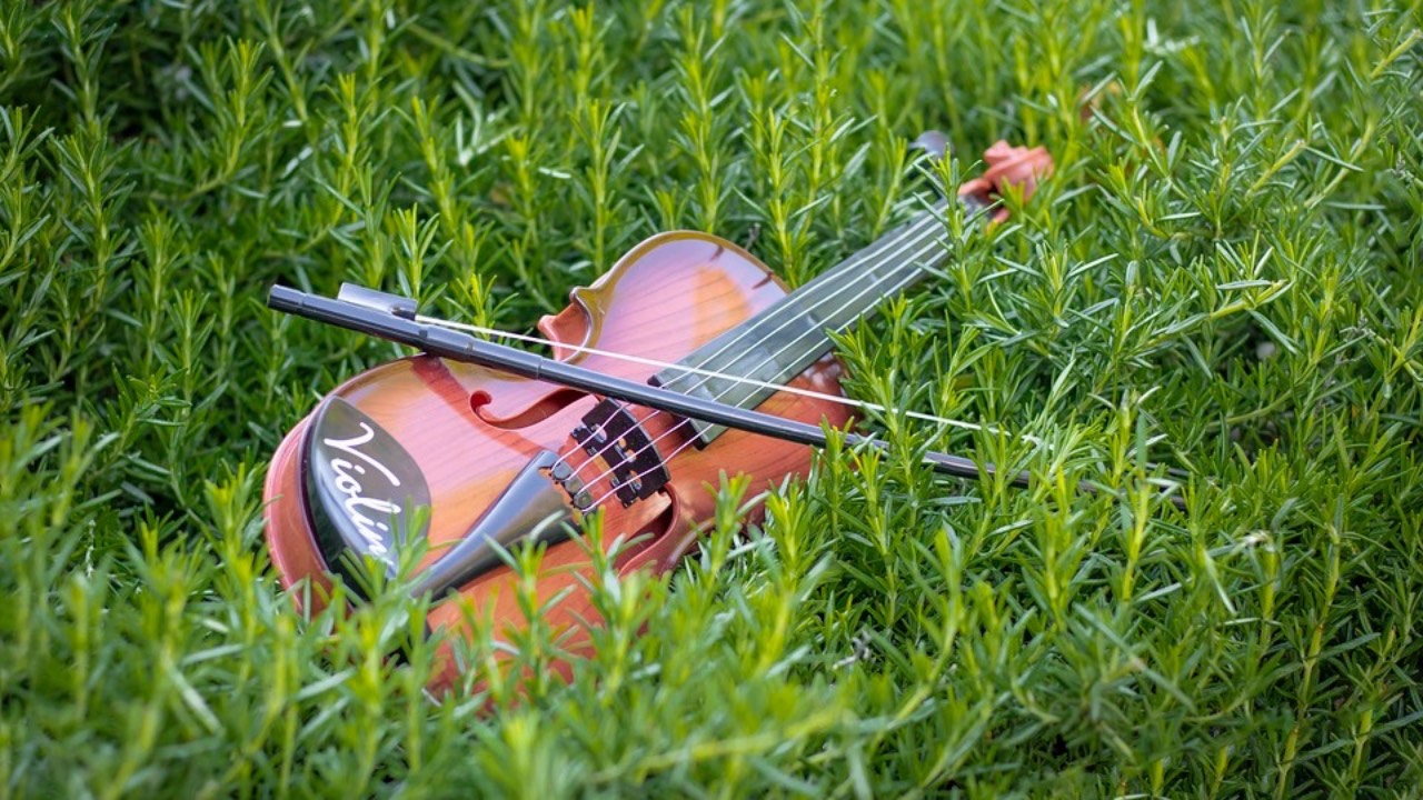 Why Grounding Techniques Work for Anger and Stress