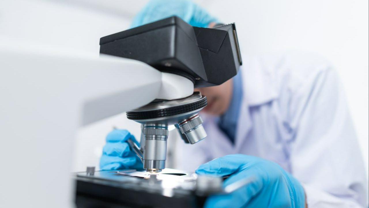 Medical professional performing gut testing for inflammation analysis using laboratory microscope.