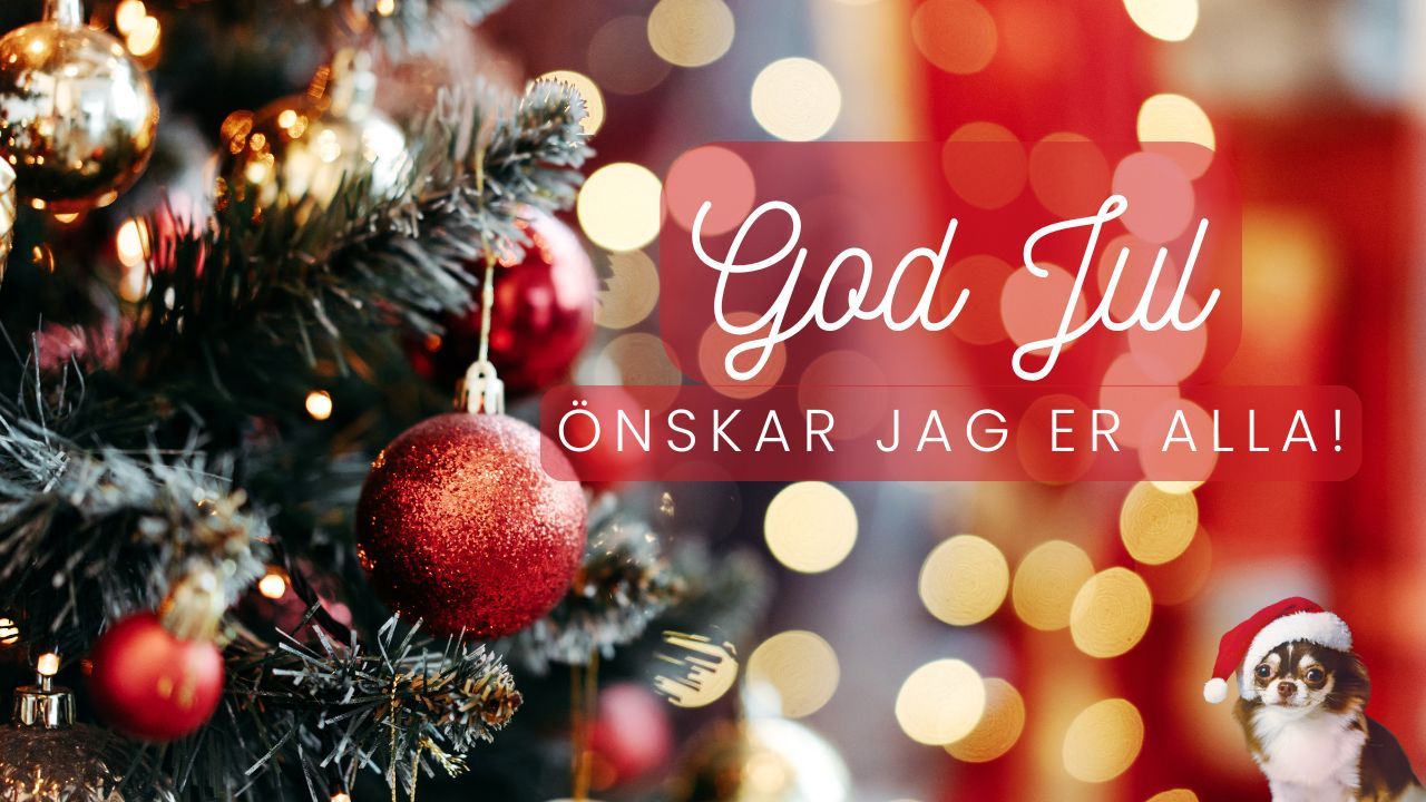 God jul önskar Holistic Dog Academy