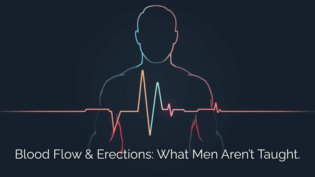 A bold visual of a man standing confidently with a subtle vascular line overlay showing improved circulation toward the pelvic area. Dark navy/charcoal background with high contrast. Clear text overlay: “How Blood Flow Controls Your Erection.” Strong, authoritative, clean aesthetic designed to attract men looking for natural ED solutions.