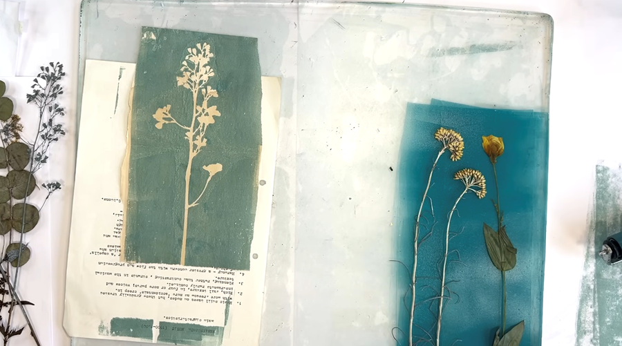 Descrição da imagem 1