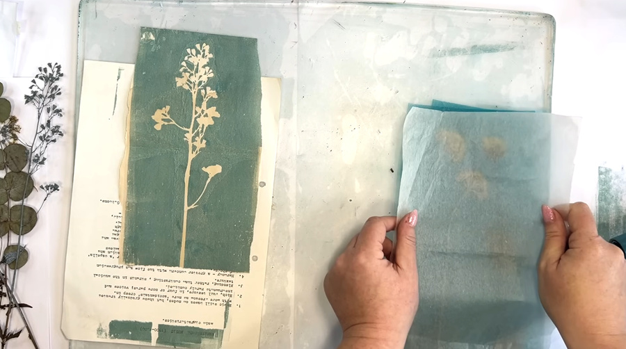 Descrição da imagem 2