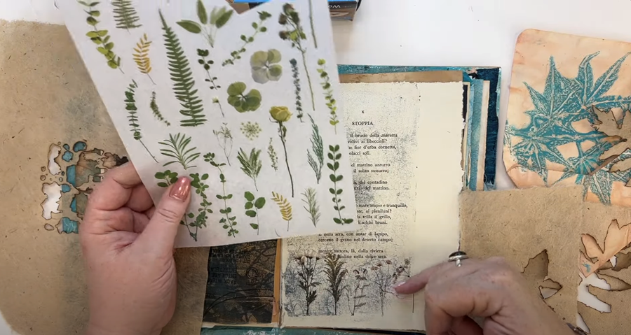 Descrição da imagem 1