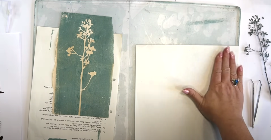 Descrição da imagem 2